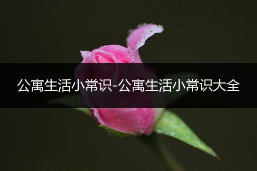 公寓生活小常识-公寓生活小常识大全