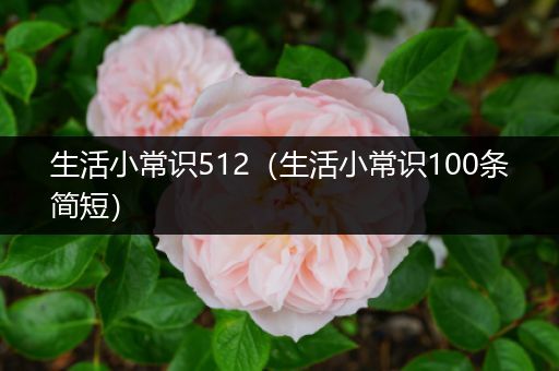 生活小常识512（生活小常识100条简短）