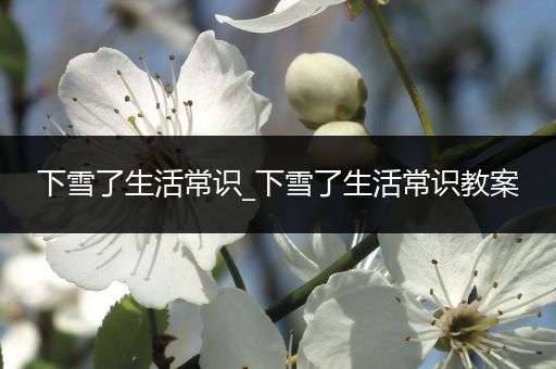 下雪了生活常识_下雪了生活常识教案