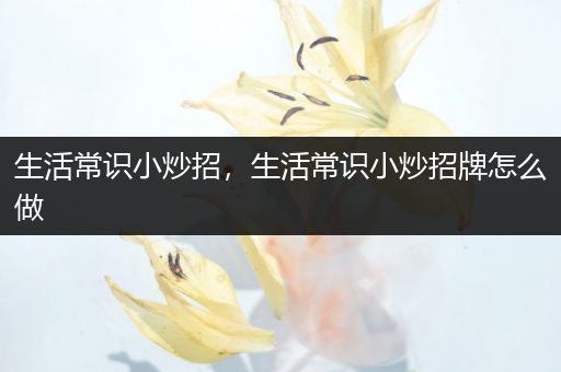 生活常识小炒招，生活常识小炒招牌怎么做