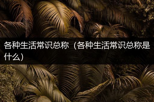 各种生活常识总称（各种生活常识总称是什么）