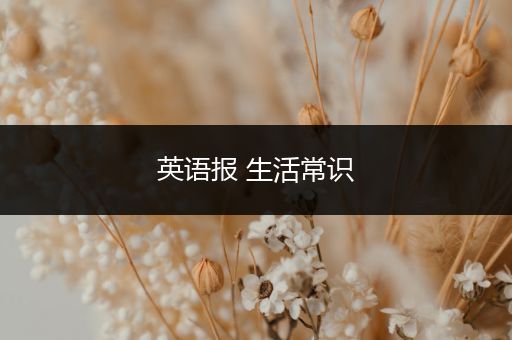 英语报 生活常识