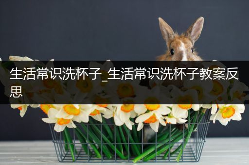 生活常识洗杯子_生活常识洗杯子教案反思