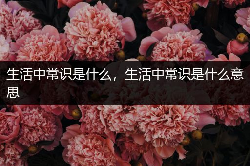 生活中常识是什么，生活中常识是什么意思