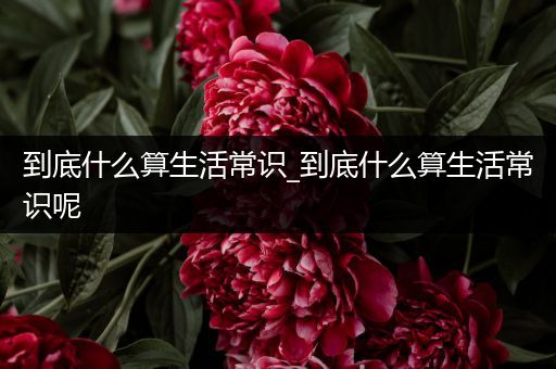 到底什么算生活常识_到底什么算生活常识呢