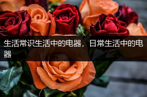 生活常识生活中的电器，日常生活中的电器