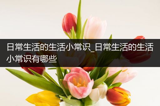 日常生活的生活小常识_日常生活的生活小常识有哪些