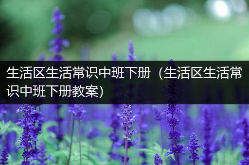 生活区生活常识中班下册（生活区生活常识中班下册教案）