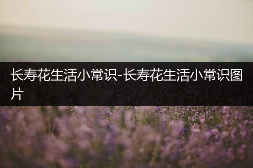长寿花生活小常识-长寿花生活小常识图片