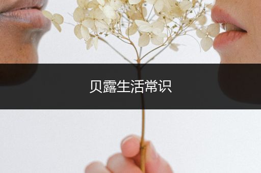 贝露生活常识