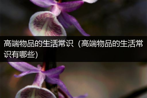 高端物品的生活常识（高端物品的生活常识有哪些）