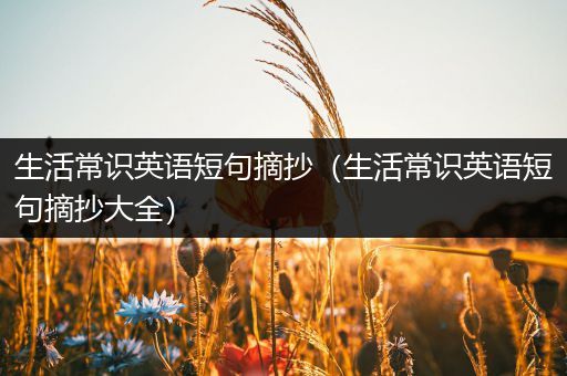 生活常识英语短句摘抄（生活常识英语短句摘抄大全）