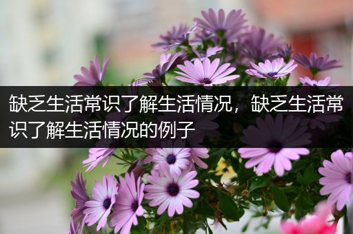 缺乏生活常识了解生活情况，缺乏生活常识了解生活情况的例子