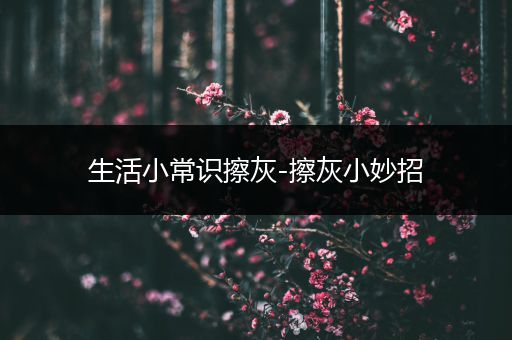 生活小常识擦灰-擦灰小妙招