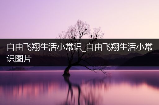 自由飞翔生活小常识_自由飞翔生活小常识图片