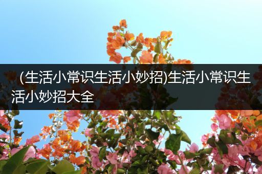 （生活小常识生活小妙招)生活小常识生活小妙招大全