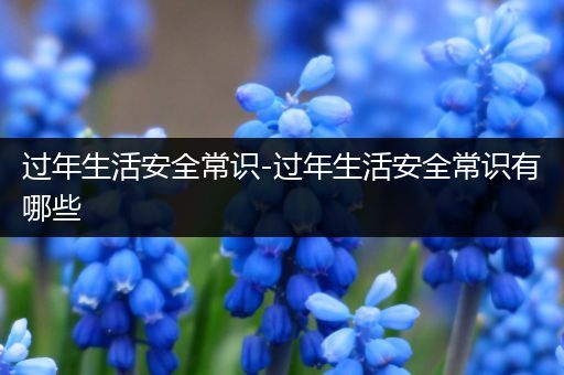 过年生活安全常识-过年生活安全常识有哪些
