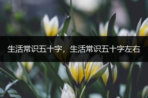 生活常识五十字，生活常识五十字左右