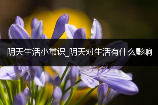 阴天生活小常识_阴天对生活有什么影响