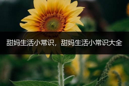 甜妈生活小常识，甜妈生活小常识大全