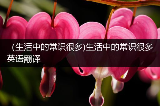 （生活中的常识很多)生活中的常识很多英语翻译