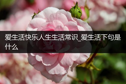 爱生活快乐人生生活常识_爱生活下句是什么
