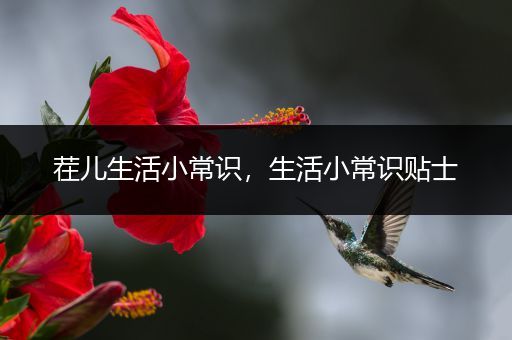 茬儿生活小常识，生活小常识贴士