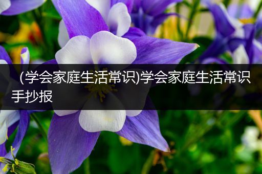 （学会家庭生活常识)学会家庭生活常识手抄报
