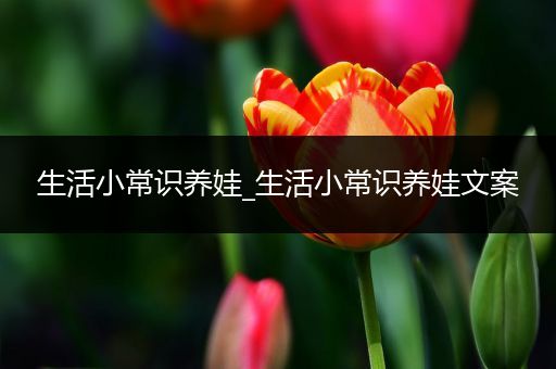 生活小常识养娃_生活小常识养娃文案