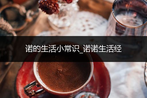 诺的生活小常识_诺诺生活经