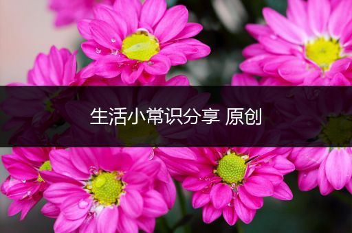生活小常识分享 原创