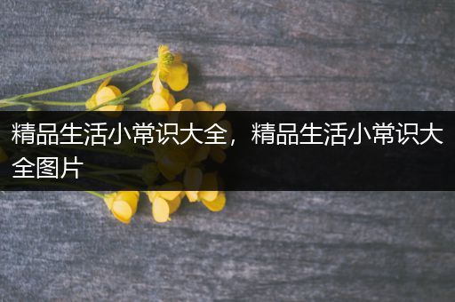 精品生活小常识大全，精品生活小常识大全图片