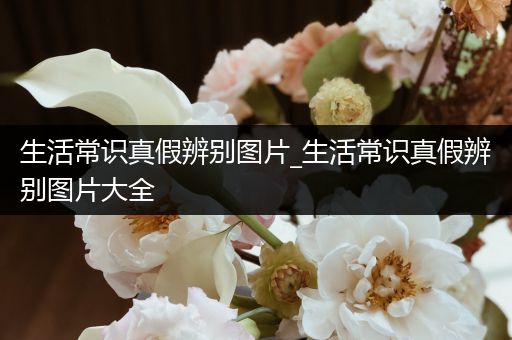 生活常识真假辨别图片_生活常识真假辨别图片大全