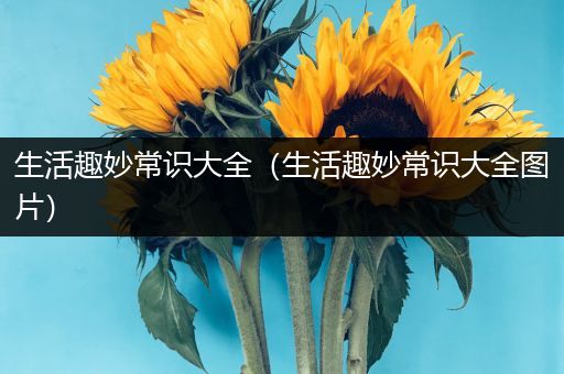 生活趣妙常识大全（生活趣妙常识大全图片）