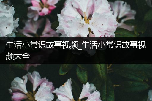 生活小常识故事视频_生活小常识故事视频大全