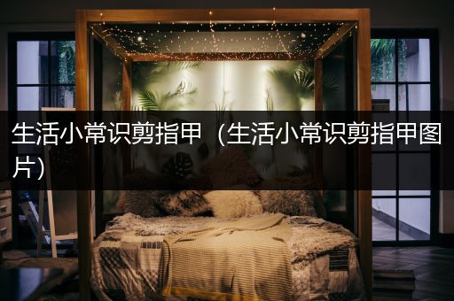 生活小常识剪指甲（生活小常识剪指甲图片）
