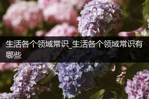 生活各个领域常识_生活各个领域常识有哪些
