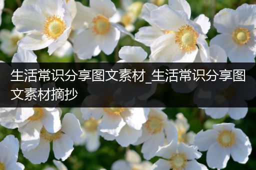 生活常识分享图文素材_生活常识分享图文素材摘抄