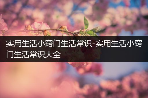 实用生活小窍门生活常识-实用生活小窍门生活常识大全