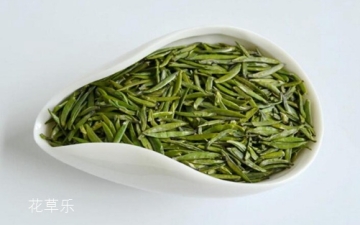 仙人掌茶是仙人掌泡的茶吗？仙人掌茶的功效与作用介绍